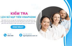 kiem tra lich su nap tien vinaphone