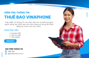 kiem tra thong tin thue bao vinaphone