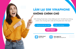 lam lai sim vinaphone khong chinh chu
