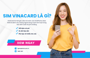sim vinacard la gi