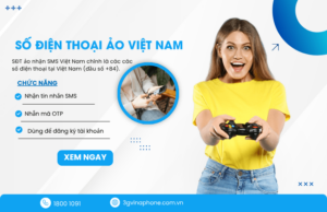 so dien thoai ao viet nam