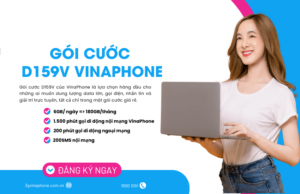 goi cuoc d159v cua vinaphone