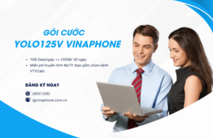 goi cuoc yolo125v vinaphone