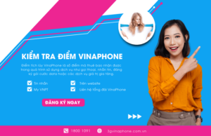 kiem tra diem vinaphone