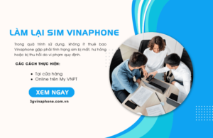 lam lai sim vinaphone