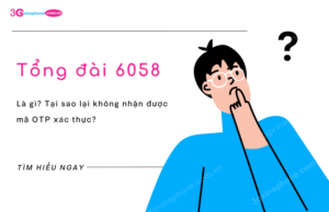 tong dai 6058