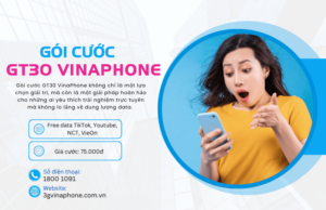 goi cuoc gt30 cua vinaphone