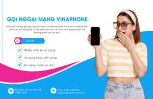 goi ngoai mang vinaphone
