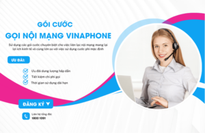 goi cuoc goi noi mang vinaphone