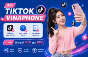 goi tiktok vinaphone