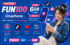 goi fun100 vinaphone
