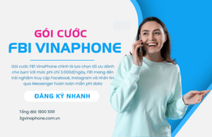goi cuoc fb1 cua vinaphone