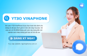 goi yt30 cua vinaphone