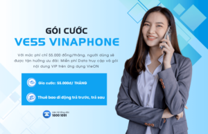 goi cuoc ve55 cua vinaphone