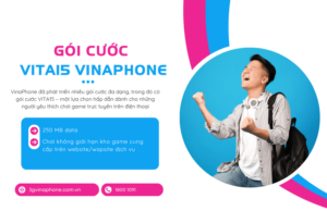 goi cuoc vita15 vinaphone