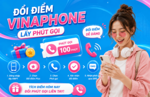 doi diem vinaphone plus lay phut goi