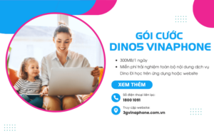 goi cuoc dino5 cua vinaphone