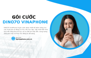 goi cuoc dino70 cua vinaphone