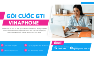 goi cuoc gt1 cua vinaphone