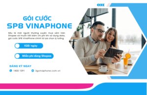 goi cuoc sp8 cua vinaphone