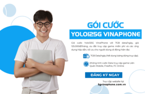 goi cuoc yolo125g cua vinaphone
