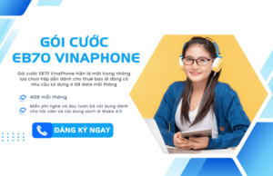 goi cuoc eb70 vinaphone