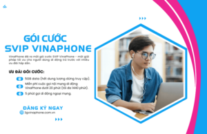 goi cuoc svip vinaphone