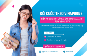 goi th30 cua vinaphone