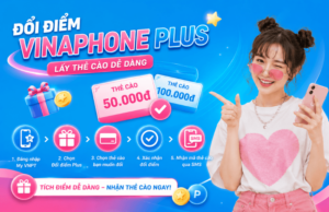 doi diem vinaphone plus lay the cao