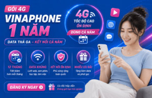 goi 4g vinaphone 1 nam