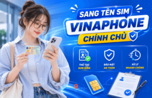 sang tem sim vinaphone (1)