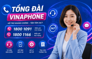 tong dai vinaphone
